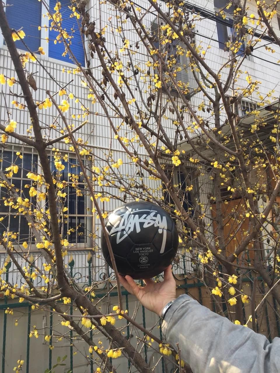 Stussy 8 ball Football